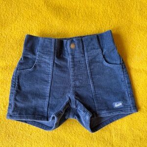 Hammies Navy Corduroy Kids Shorts sz 24